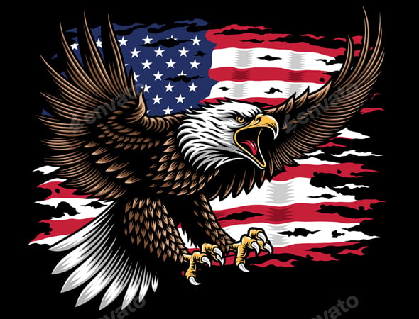 American Bald Eagle Swooping down With Tattered American Flag