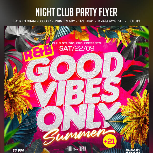 Night Club Party Flyer