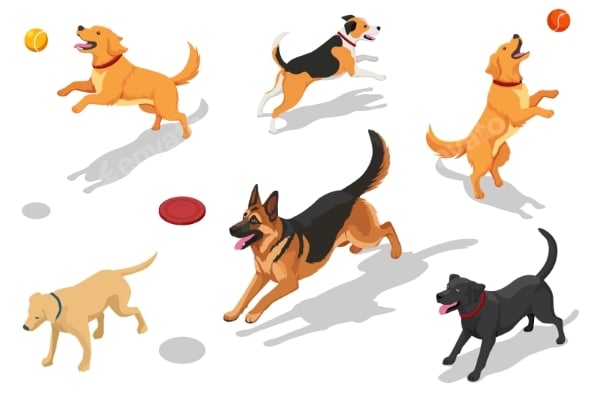 Isometric Illustration of Different Dogs Playing
