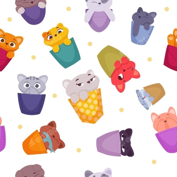 Kittens in Pockets